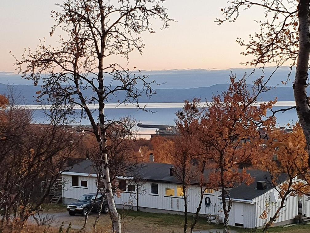 Varangertunet Arctic Resort Jakobselv المظهر الخارجي الصورة