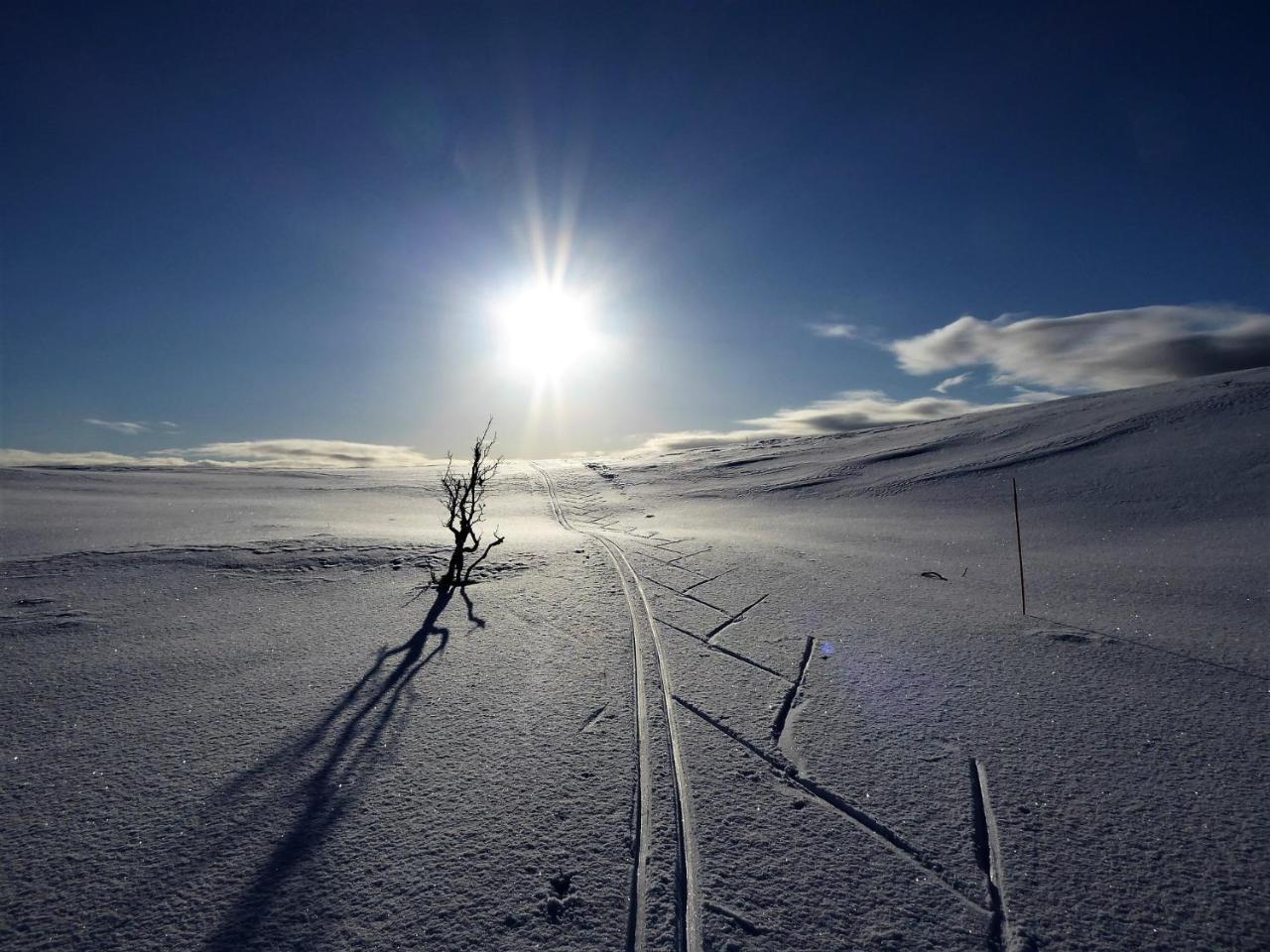 Varangertunet Arctic Resort Jakobselv المظهر الخارجي الصورة
