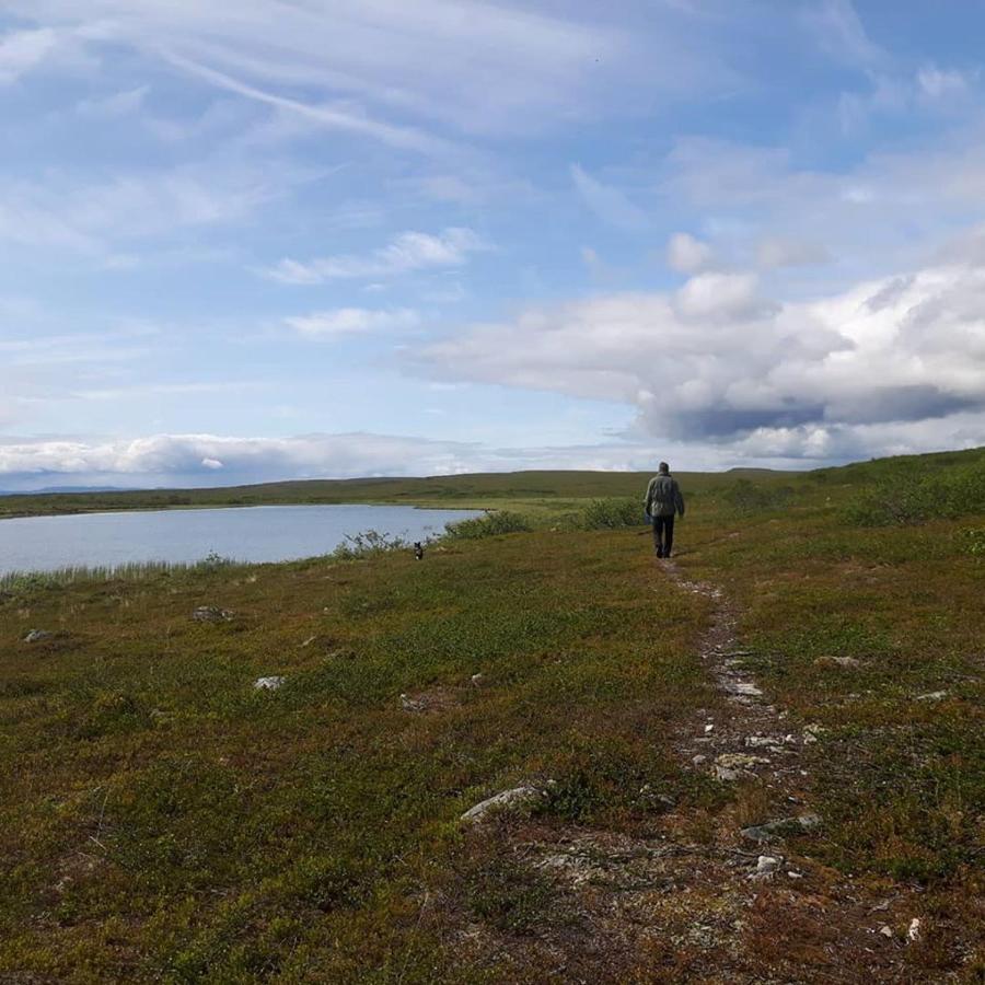 Varangertunet Arctic Resort Jakobselv المظهر الخارجي الصورة